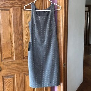 NWT The Limited Dress